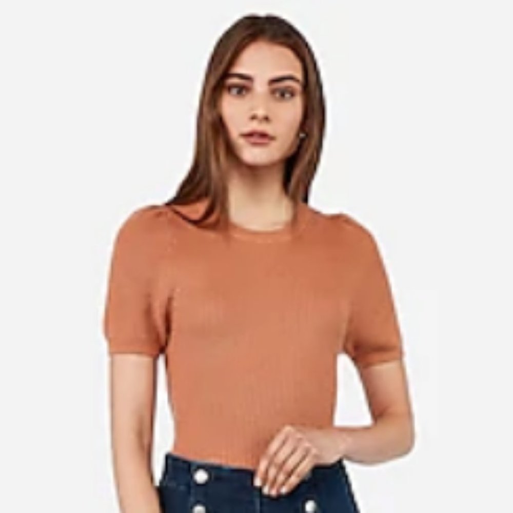 Express Puff Sleeve Short Sleeved Sweater